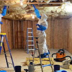 Mold Experts of Atlanta