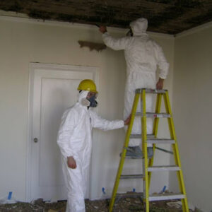 Mold Inspection Doctor Boerne-Boerne