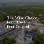 Wise / Chem Safe Pest Control-Granbury