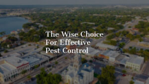 Wise / Chem Safe Pest Control-Granbury