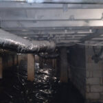 Mr. Mold Removal & Water Restoration-Marietta