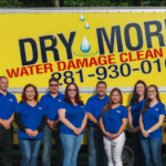 DryMore Water Damage Cypress-Cypress