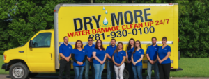 DryMore Water Damage Cypress-Cypress