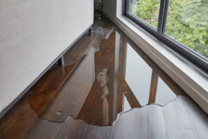 All Friendswood Damage Restoration Pro-Friendswood