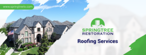Springtree Restoration- Gainesville-Gainesville