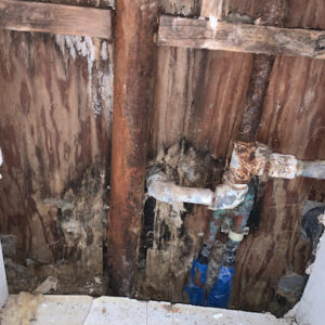 Texas Best Mold Water Fire Damage-Cedar Park