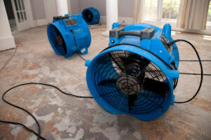 Water Damage Restoration Frisco-Frisco