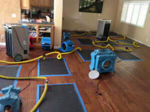 Tence Water Damage Restoration-Cleburne