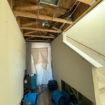 Alpha One Restore-McKinney