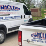 DynaClean Professional-Hewitt