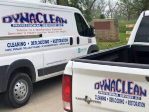 DynaClean Professional-Hewitt