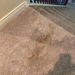 PuroClean of Boerne-Boerne