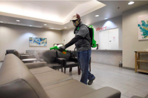 Wolf's Pro Clean-Bryan