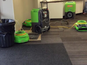SERVPRO of Abilene-Abilene
