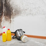 Crescent Mold Removal & Remediation League City