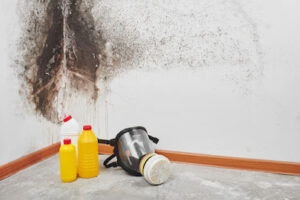 Crescent Mold Removal & Remediation League City