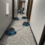 Specialty Restoration of Texas-Tyler