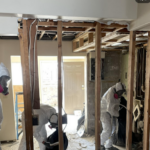 Hempstead Mold Removal-West Hempstead