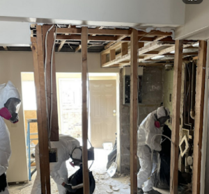 Hempstead Mold Removal-West Hempstead