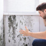 Key City Mold-Abilene