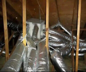 Hippo A/C Steaming & Mold Removal-Kingwood