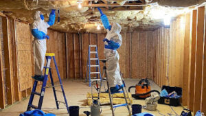 Mold Experts of Atlanta LLC-Marietta