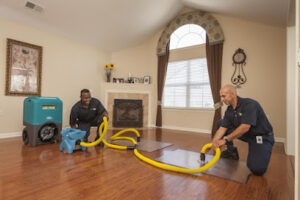 Tano Water Damage Restoration-Mansfield