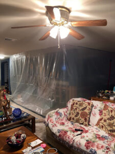 Pentogan Mold Removal & Remediation McAllen TX-McAllen