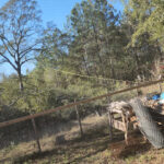 Dangerous tree removal-Splendora