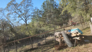 Dangerous tree removal-Splendora