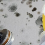Obskure Mold Remediation-Arlington