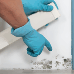 Mold Testing Houston - Post Oak-Houston