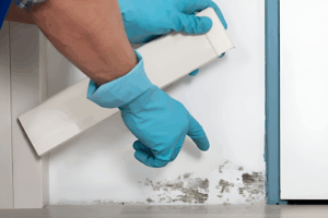 Mold Testing Houston - Post Oak-Houston