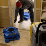 Texas Certified Restoration-Round Rock