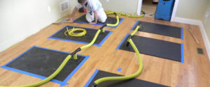 Water Damage Services Texas-Houston
