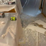 Dry Force Water Removal Specialists-Pflugerville