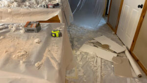 Dry Force Water Removal Specialists-Pflugerville