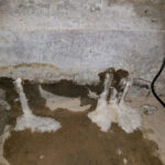 Olympic Restoration Systems-Haltom City