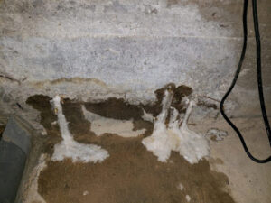 Olympic Restoration Systems-Haltom City