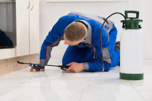 Brush Country Pest Services-Pleasanton