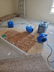 SS Water Restoration-Plano