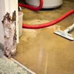 PuroClean Restoration Specialists-Frisco