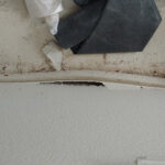 Catstrong Mold-Austin