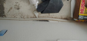 Catstrong Mold-Austin