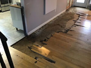 SERVPRO of South Arlington-Mansfield