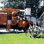 Moreno Tree Service-Sweeny