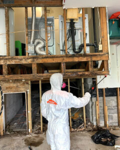 SERVPRO of Beaumont-Beaumont