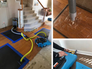 United Water Restoration Group of Austin-Buda