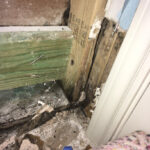 Restoration 1 Lone Star-Grapevine