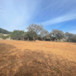 STX Land Clearing Services LLC-Uvalde